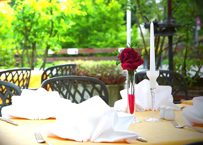 Szálloda Alexander 4*